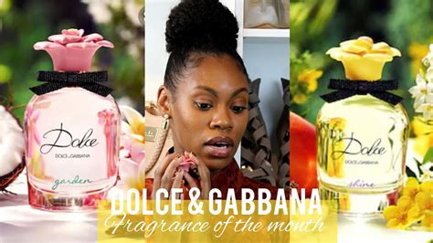 dolce gabbana tj maxx|Affordable Perfumes for Women From Top Brands .